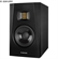 Loa Adam Audio T5V 2